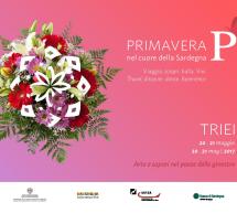 PRIMAVERA NEL CUORE DELLA SARDEGNA – TRIEI – 20-21 MAGGIO 2017