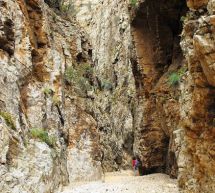 TREKKING LUNGO IL CANYON DI IS CIOFFUS – SARROCH – DOMENICA 21 MAGGIO 2017