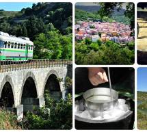 TRENO SPECIALE SUL TRENINO VERDE DELLA SARDEGNA- VENERDI 2 GIUGNO 2017