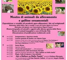 FIERA DELLA NURRA – TOTTUBELLA – 6-7 MAGGIO 2017