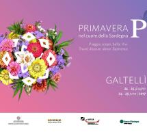 PRIMAVERA NEL CUORE DELLA SARDEGNA – GALTELLI’ – 24-25 GIUGNO 2017