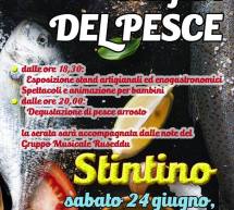 SAGRA DEL PESCE -STINTINO – SABATO 24 GIUGNO 2017