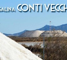 VISITA GUIDATA ALLA SALINA CONTI VECCHI – CAGLIARI – SABATO 26 AGOSTO 2017