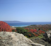 TOUR DELL’ASINARA E CASTELSARDO – 9-10 SETTEMBRE 2017