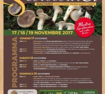 S’ANTUNNA 2017 – MACOMER – 17-18-19 NOVEMBRE 2017