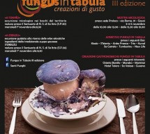 FUNGUS IN TABULA – GAVOI – 1-5 NOVEMBRE 2017