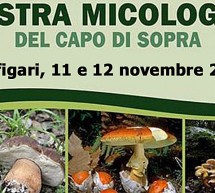 MOSTRA MICOLOGICA DEL CAPO DI SOPRA – SAGRA DEL PORCINO & PORCETTO – PUTIFIGARI -9-12 NOVEMBRE 2017