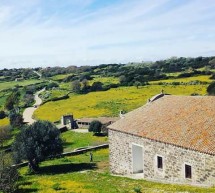 PASQUETTA 2018 A SEDILO TRA BUON CIBO,TRADIZIONI E ALLEGRIA – LUNEDI 2 APRILE 2018