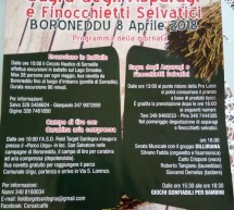 SAGRA DEGLI ASPARAGI E FINOCCHIETTI SELVATICI – BORONEDDU – DOMENICA 8 APRILE 2018