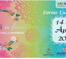 TORTOLI’ IN FIORE – TORTOLI -14-15 APRILE 2018