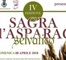 SAGRA DELL’ASPARAGO SELVATICO – GESTURI – DOMENICA 8 APRILE 2018