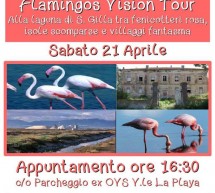 FLAMINGOS VISION TOUR – CAGLIARI – SABATO 21 APRILE 2018