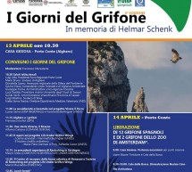 I GIORNI DEL GRIFONE – CAPO CACCIA- 13-14 APRILE 2018