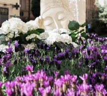 SASSARI IN FIORE – 1-2-3 GIUGNO 2018