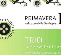 PRIMAVERA NEL CUORE DELLA SARDEGNA – TRIEI – 19-20 MAGGIO 2018