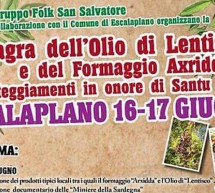 22° SAGRA DELL’OLIO DI LENTISCHIO E DEL FORMAGGIO AXRIDDA – ESCALAPLANO – 16-17 GIUGNO 2018