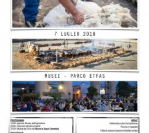 XXI SAGRA DELLA PECORA – MUSEI – SABATO 7 LUGLIO 2018