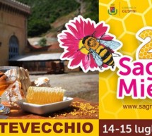 SAGRA DEL MIELE – MONTEVECCHIO – 14-15 LUGLIO 2018