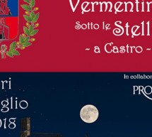 VERMENTINO SOTTO LE STELLE – OSCHIRI – VENERDI 6 LUGLIO 2018