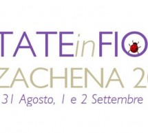 ESTATE IN FIORE – ARZACHENA – 31 AGOSTO- 1-2 SETTEMBRE 2018