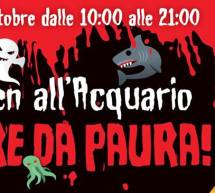 HALLOWEEN ALL’ACQUARIO DI CALA GONONE – MERCOLEDI 31 OTTOBRE 2018