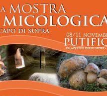 MOSTRA MICOLOGICA e SAGRA DEL PORCINO E DEL PORCETTO – PUTIFIGARI – 8-11 NOVEMBRE 2018