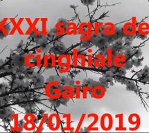 FUOCHI DI SANT’ANTONIO e SAGRA DEL CINGHIALE – GAIRO – VENERDI 18 GENNAIO 2019