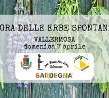 SAGRA DELLE ERBE SPONTANEE – VALLERMOSA – DOMENICA 7 APRILE 2019