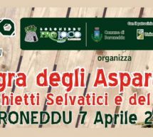 SAGRA DEGLI ASPARAGI E FINOCCHIETTI SELVATICI – BORONEDDU – DOMENICA 7 APRILE 2019