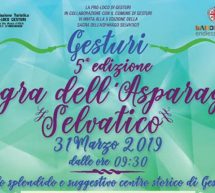 SAGRA DELL’ASPARAGO SELVATICO – GESTURI -DOMENICA 31 MARZO 2019