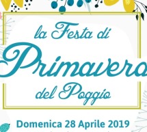 FESTA DI PRIMAVERA – POGGIO DEI PINI – DOMENICA 28 APRILE 2019