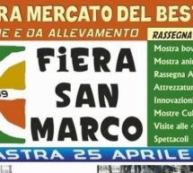 FIERA DI SAN MARCO E MOSTRA MERCATO DEL BESTIAME – OLLASTRA – 24-27 APRILE 2019