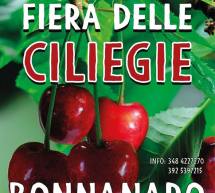 FIERA DELLE CILIEGIE – BONNANNARO – DOMENICA 9 GIUGNO 2019