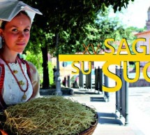 SAGRA DE SU SUCCU – BUSACHI – 29-30 GIUGNO 2019