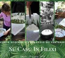 SU CASU IN FILIXI – SEULO -13-14 LUGLIO 2019