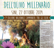 LA GIORNATA DELL’OLIVO MILLENARIO – SINI – DOMENICA 27 OTTOBRE 2019