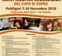 MOSTRA MICOLOGICA & SAGRA DEL PORCINO E DEL PORCETTO – PUTIFIGARI – 7-10 NOVEMBRE 2019