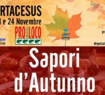 SAPORI D’AUTUNNO – ORTACESUS – 23-24 NOVEMBRE 2019